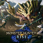 MONSTER HUNTER RISE Nintendo Switch Access