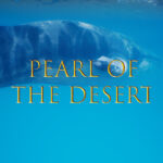 Pearl of the Desert PC Steam CD Key